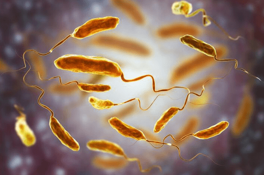 ویبریوکلرا 